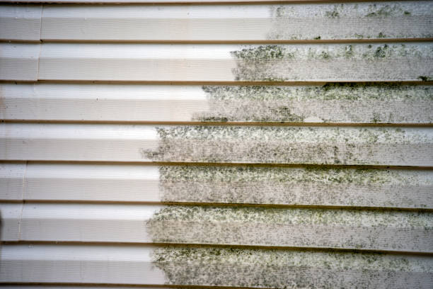 Best Basement Cleanout  in Herndon, VA