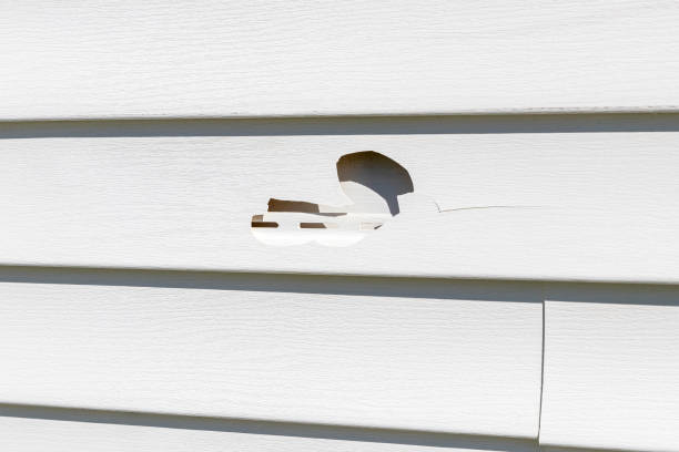 Best Shed Removal  in Herndon, VA